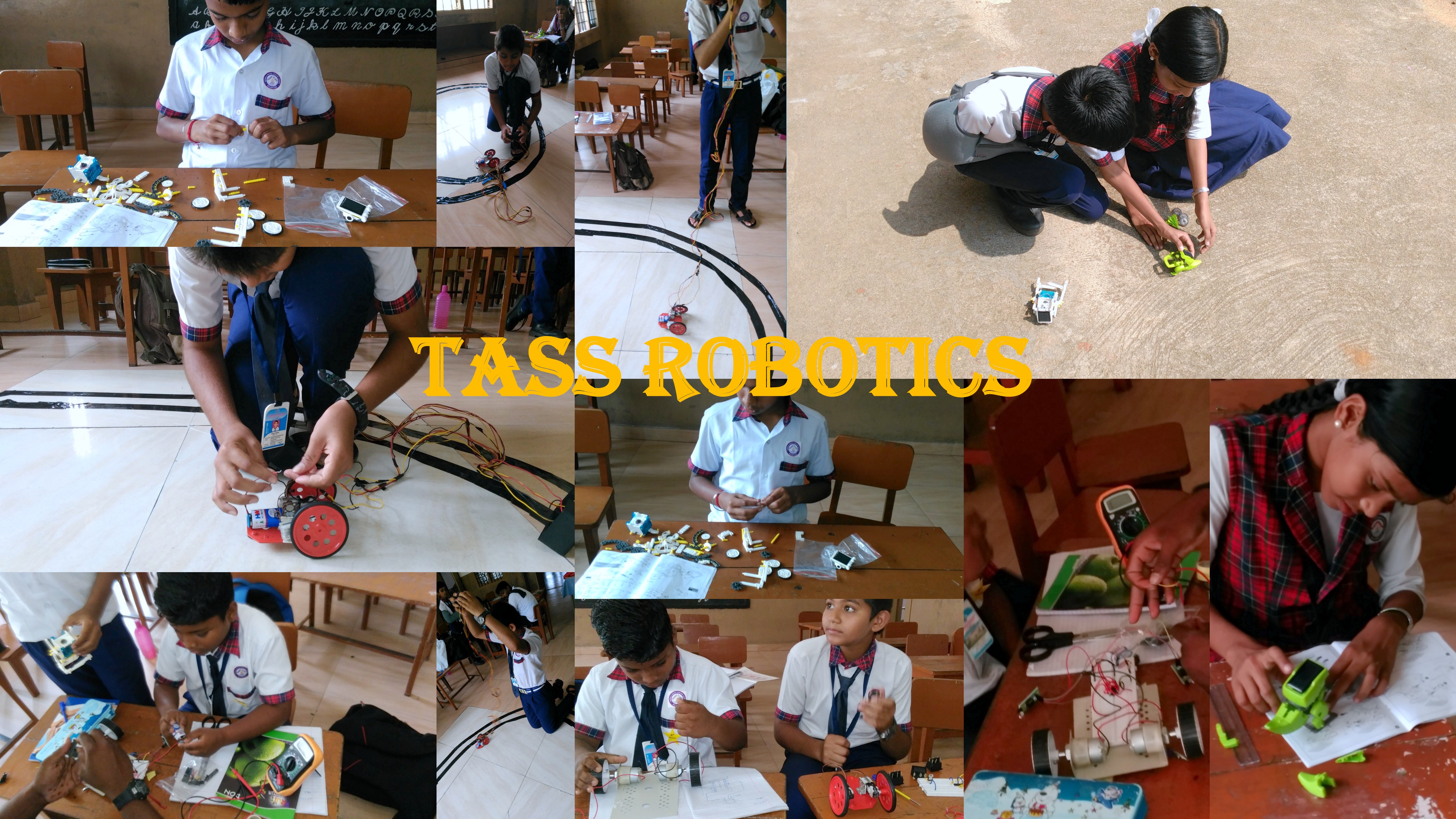 TASS ACTIVITY COLAGUNE PHOTO